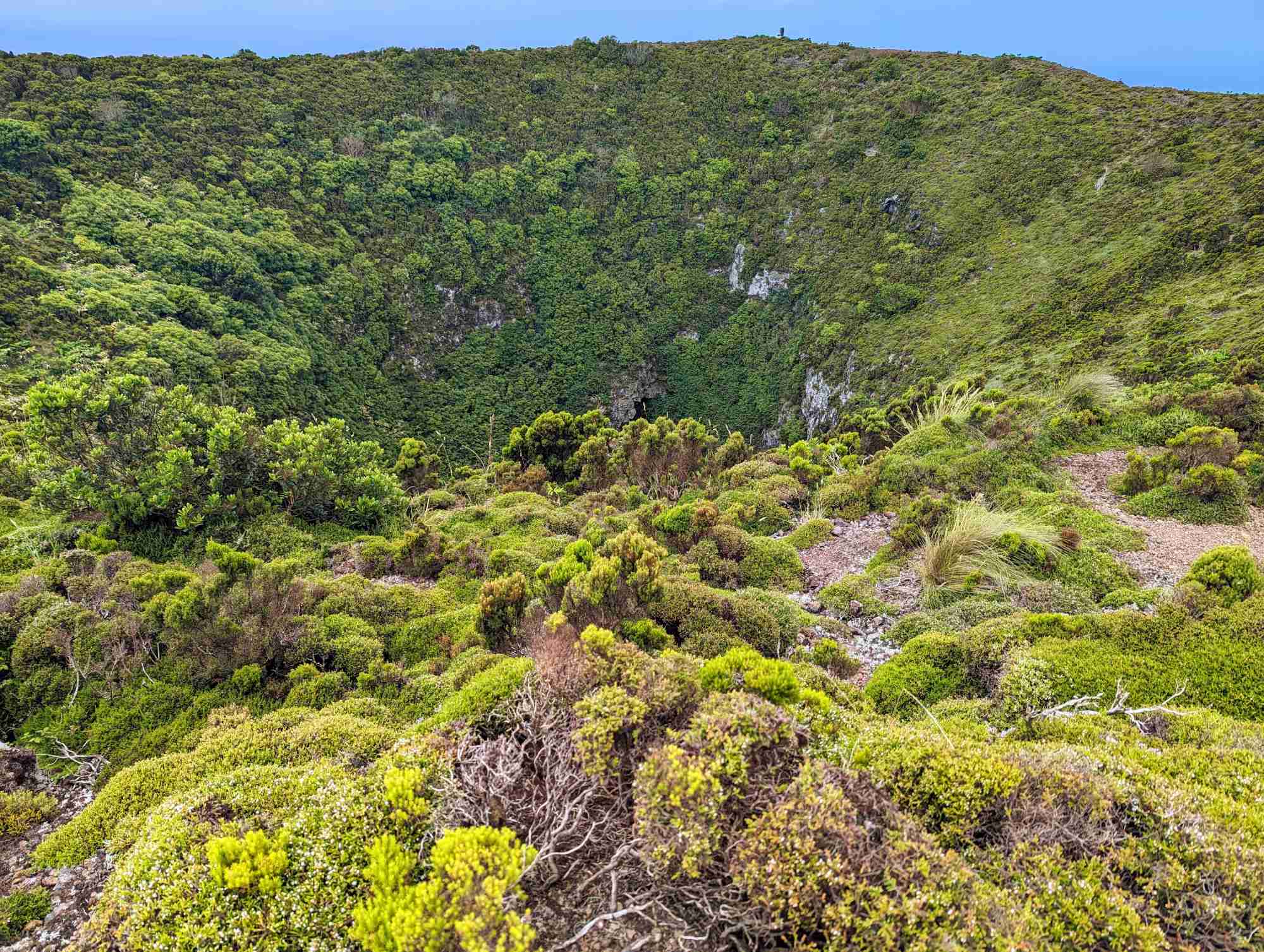 A lush and green vegetation-covered landscape featuring a large, deep volcanic crater with steep, rocky walls in Portugal. The crater is surrounded by dense foliage, displaying various shades of green, with some bushes and grasses in the foreground and distant blue sky above.