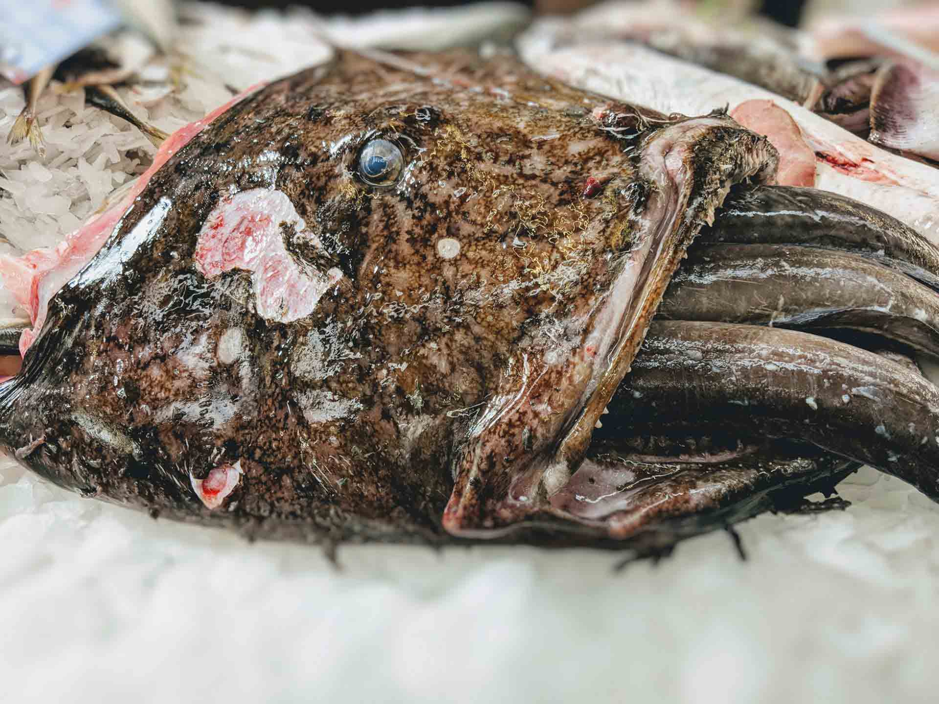 Fish at a market stall