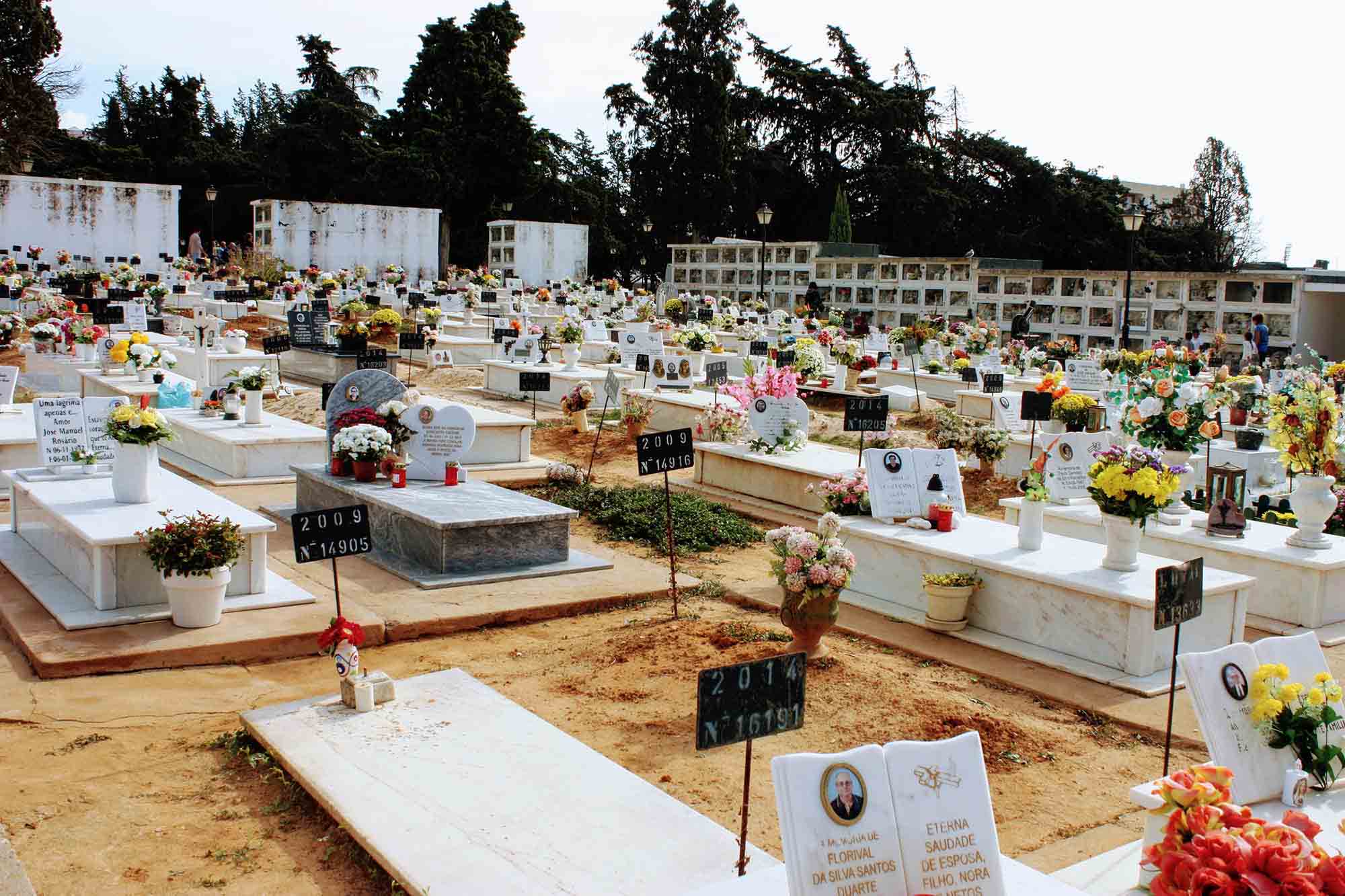 Portuguese Graveyard on November 1st