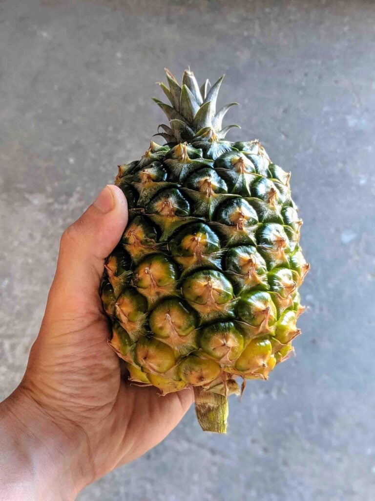 azorean pineapple