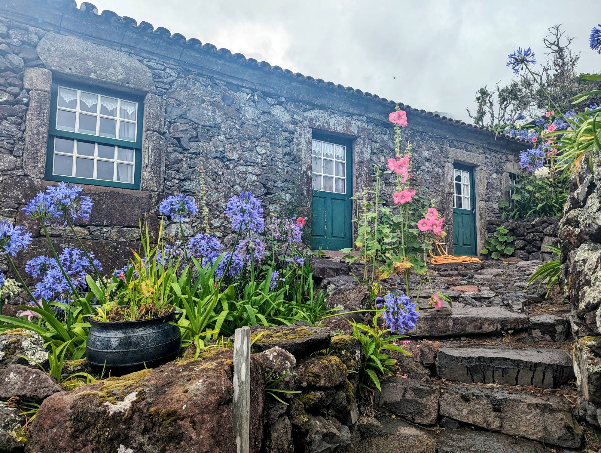A rustic stone cottage in the Azores with green doors and white-framed windows is surrounded by lush greenery and blooming purple and pink flowers. Stone steps lead up to the entrance, bordered by a vibrant garden. The sky is overcast, highlighting the serene, natural setting.