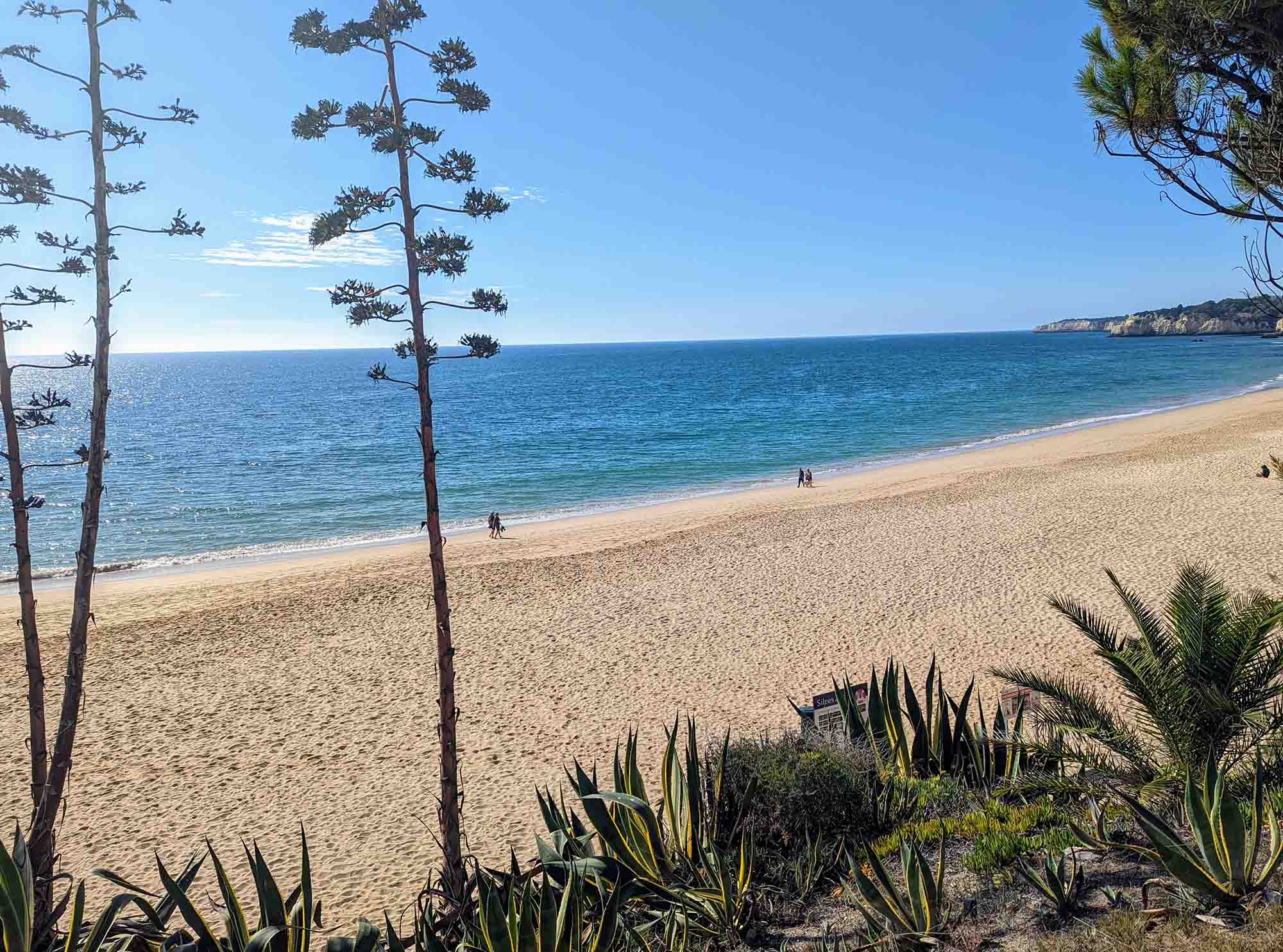 beach armacao de pera