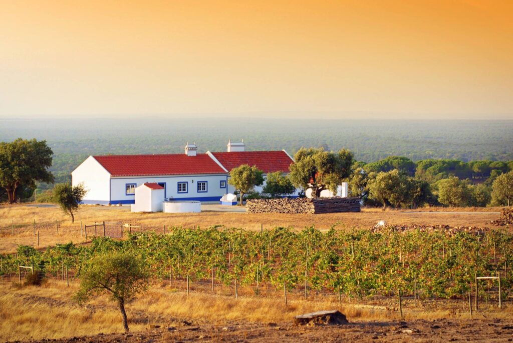 house in alentejo