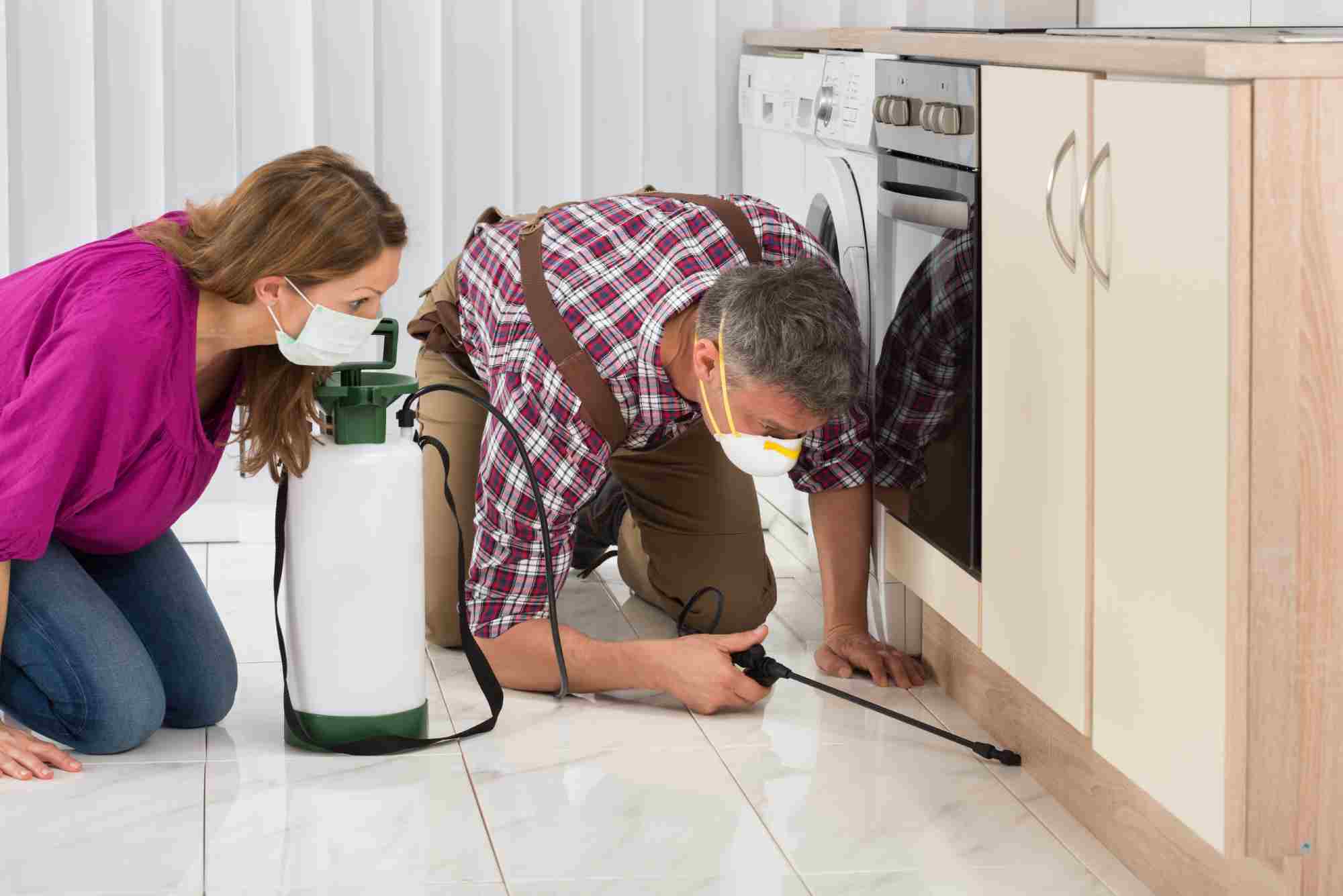 A woman and a man wearing face masks are in a kitchen. The man, dressed in work attire and holding a spray canister, is inspecting the area under the cabinetry. The woman, wearing a purple top, is crouched beside him, observing the inspection process.