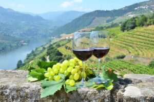 Glasses of red wine and green grapes on a ledge, overlooking Portugal’s terraced vineyards and river in a lush, hilly setting.
