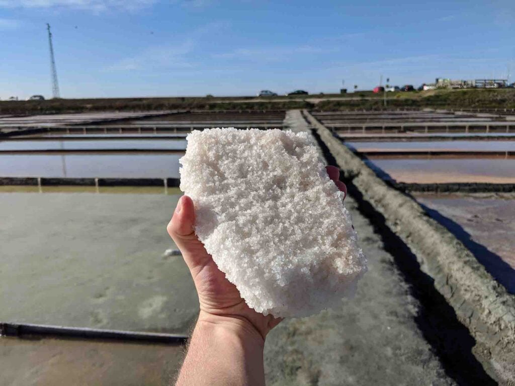 Holding a block of salt at the salt marshes in Aveiro