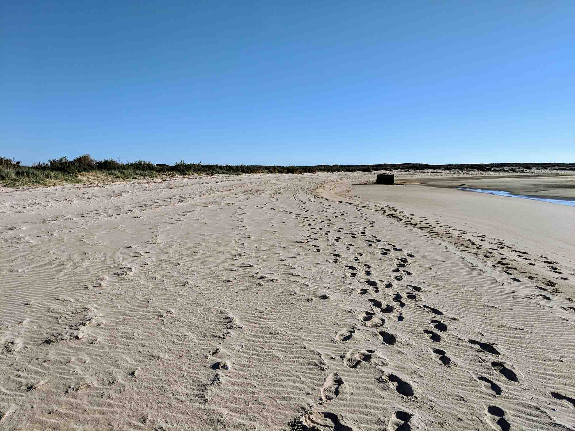 Ilha Deserta near Faro