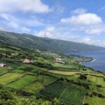 A scenic view of lush green farmland on Pico, Azores, divided by hedgerows on a sloping landscape leading to a coastline with deep blue ocean waters. A few scattered houses and farm buildings are nestled amidst the patchwork of fields, with hills in the background and a partly cloudy sky overhead.