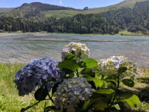 sete cidades